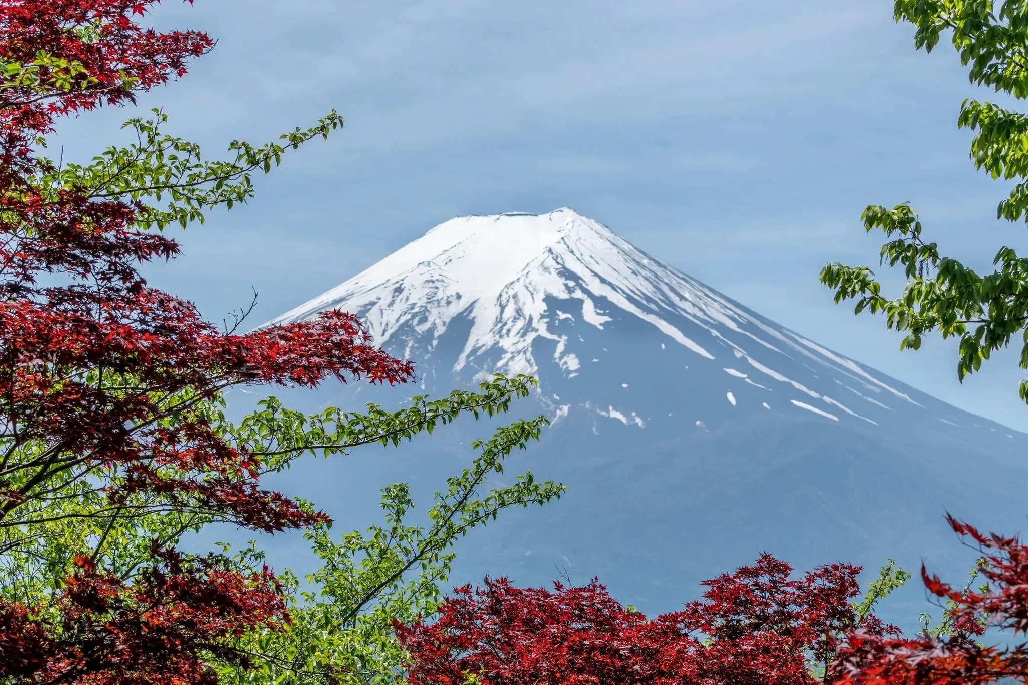 Image miniature de la destination "Tokyo"